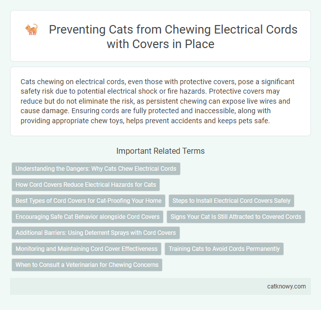 Preventing Cats from Chewing Electrical Cords with Covers in Place