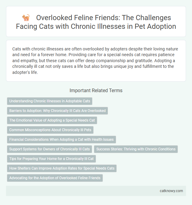 Overlooked Feline Friends: The Challenges Facing Cats with Chronic Illnesses in Pet Adoption