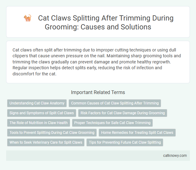 Cat Claws Splitting After Trimming During Grooming: Causes and Solutions