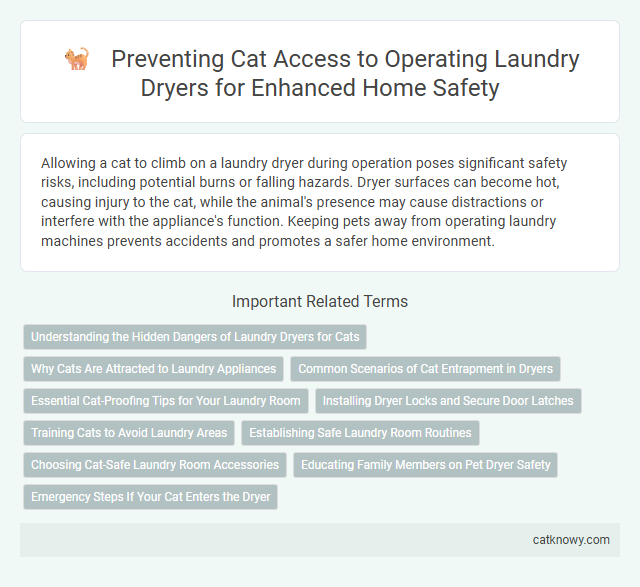 Preventing Cat Access to Operating Laundry Dryers for Enhanced Home Safety