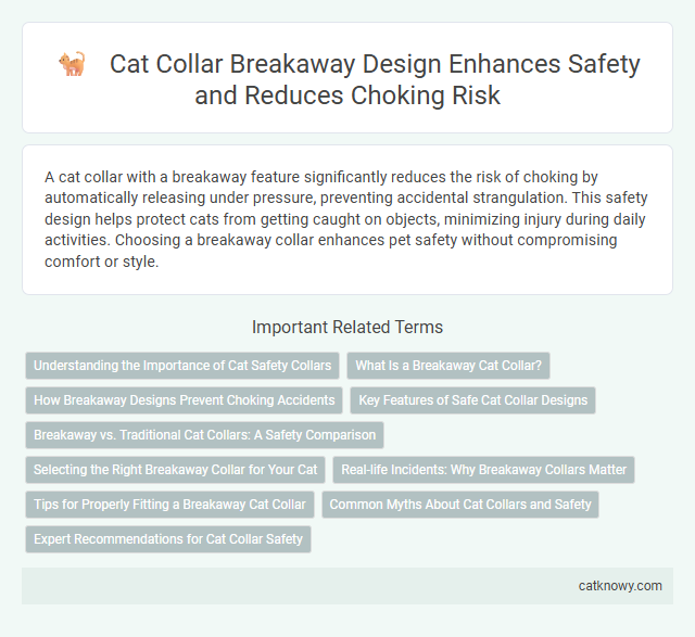 Cat Collar Breakaway Design Enhances Safety and Reduces Choking Risk