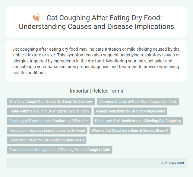Cat Coughing After Eating Dry Food: Understanding Causes and Disease Implications