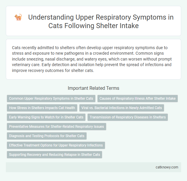 Understanding Upper Respiratory Symptoms in Cats Following Shelter Intake