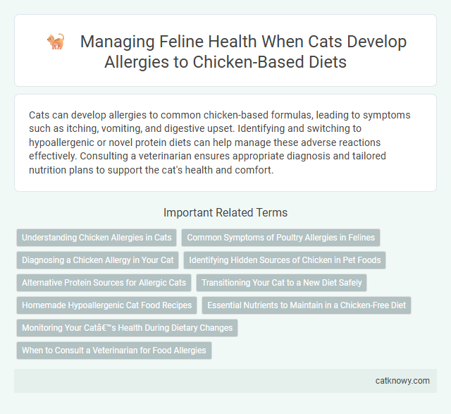 Managing Feline Health When Cats Develop Allergies to Chicken-Based Diets