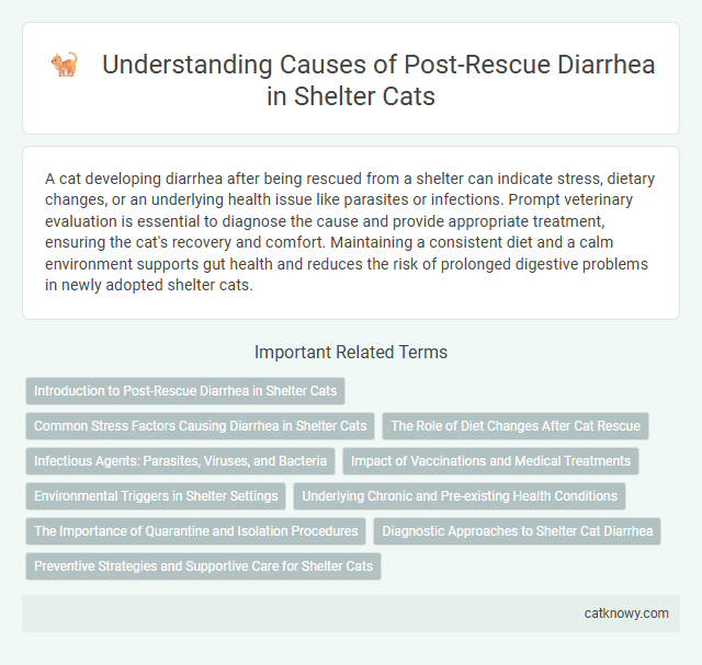 Understanding Causes of Post-Rescue Diarrhea in Shelter Cats