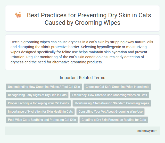 Best Practices for Preventing Dry Skin in Cats Caused by Grooming Wipes