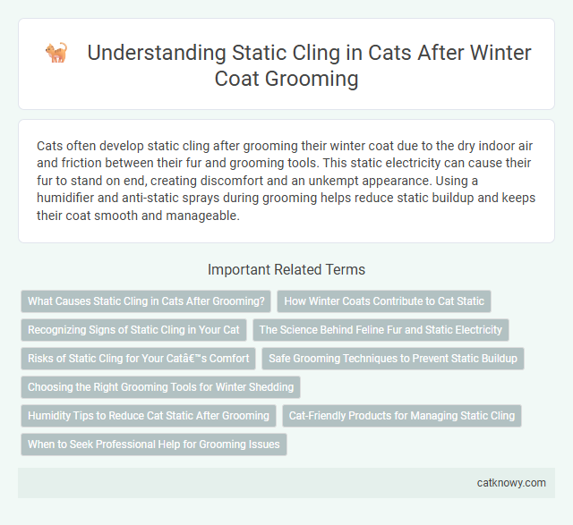 Understanding Static Cling in Cats After Winter Coat Grooming