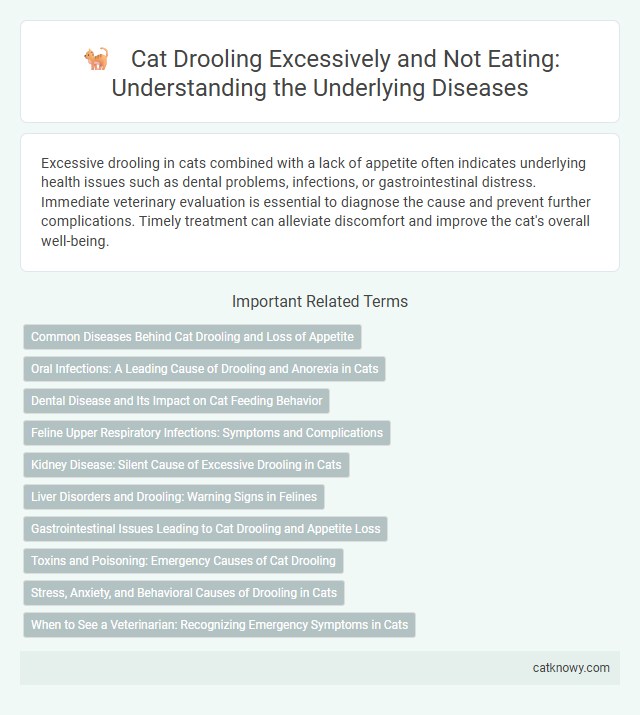 Cat Drooling Excessively and Not Eating: Understanding the Underlying Diseases
