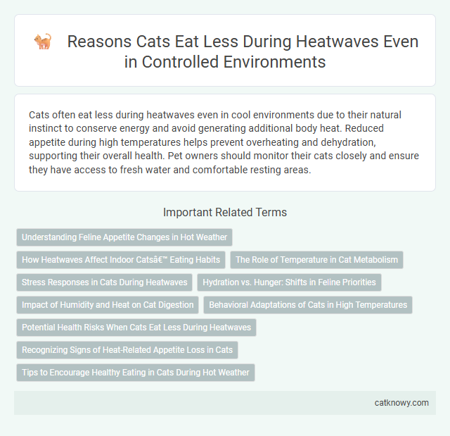 Reasons Cats Eat Less During Heatwaves Even in Controlled Environments