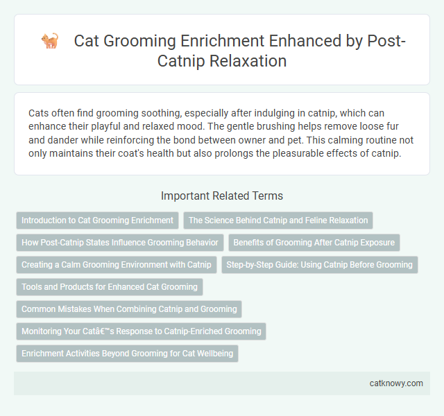 Cat Grooming Enrichment Enhanced by Post-Catnip Relaxation