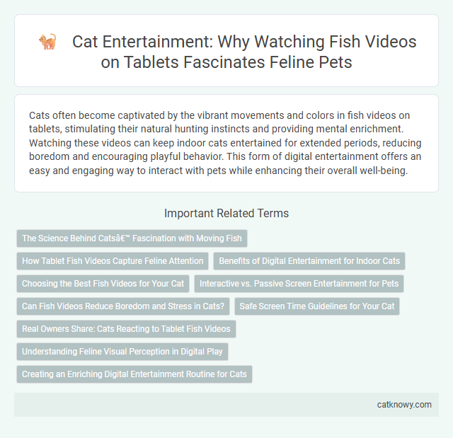 Cat Entertainment: Why Watching Fish Videos on Tablets Fascinates Feline Pets