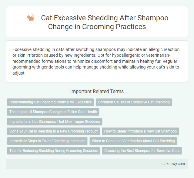 Cat Excessive Shedding After Shampoo Change in Grooming Practices
