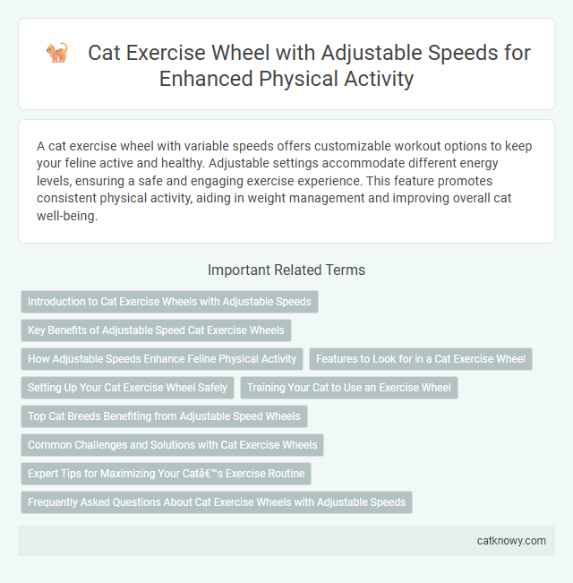 Cat Exercise Wheel with Adjustable Speeds for Enhanced Physical Activity