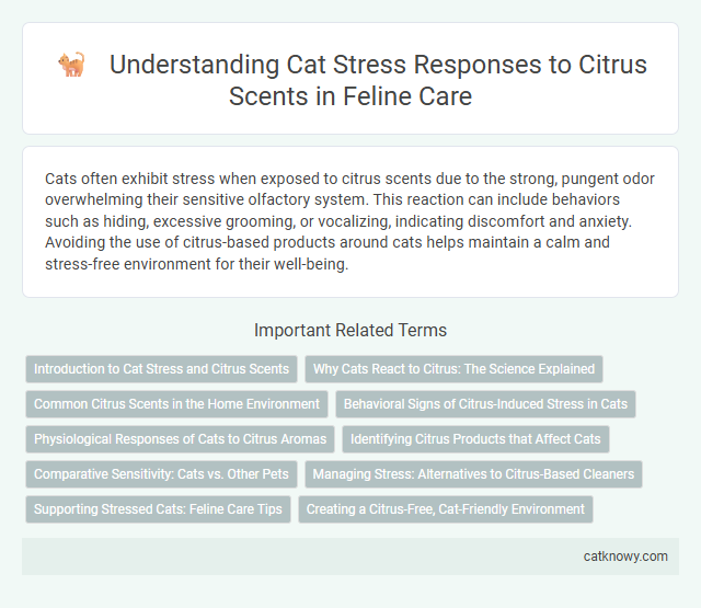 Understanding Cat Stress Responses to Citrus Scents in Feline Care