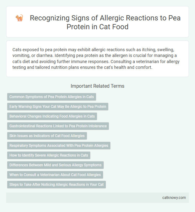 Recognizing Signs of Allergic Reactions to Pea Protein in Cat Food