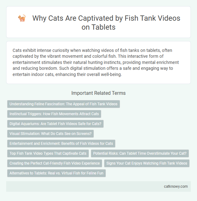 Why Cats Are Captivated by Fish Tank Videos on Tablets