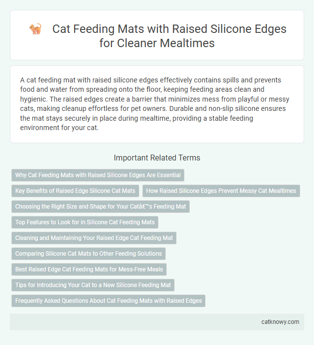 Cat Feeding Mats with Raised Silicone Edges for Cleaner Mealtimes