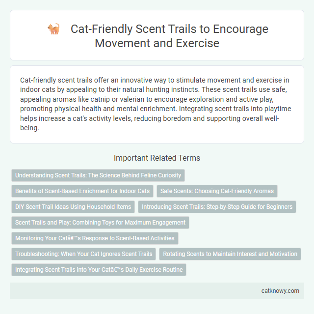 Cat-Friendly Scent Trails to Encourage Movement and Exercise
