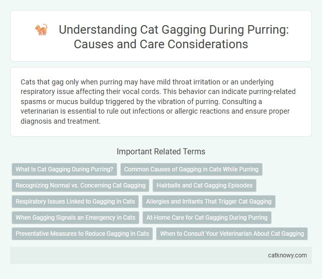 Understanding Cat Gagging During Purring: Causes and Care Considerations