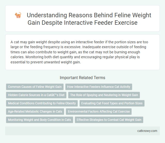 Understanding Reasons Behind Feline Weight Gain Despite Interactive Feeder Exercise