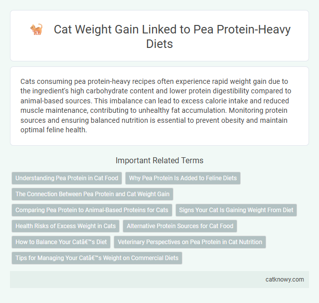 Cat Weight Gain Linked to Pea Protein-Heavy Diets