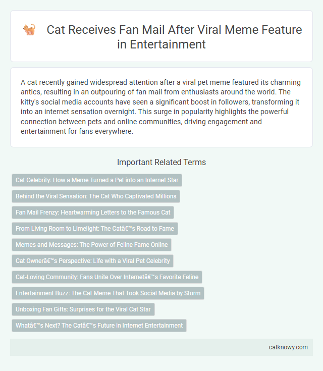 Cat Receives Fan Mail After Viral Meme Feature in Entertainment