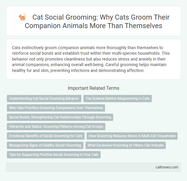 Cat Social Grooming: Why Cats Groom Their Companion Animals More Than Themselves