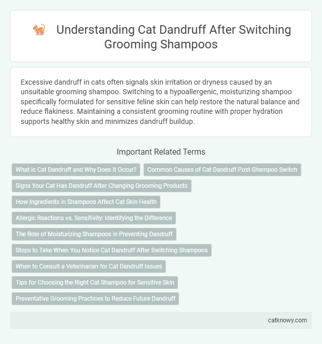 Understanding Cat Dandruff After Switching Grooming Shampoos