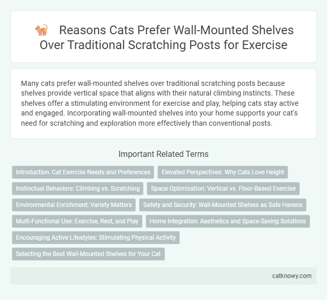Reasons Cats Prefer Wall-Mounted Shelves Over Traditional Scratching Posts for Exercise