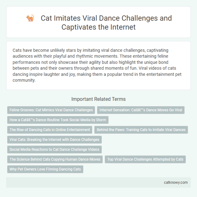 Cat Imitates Viral Dance Challenges and Captivates the Internet