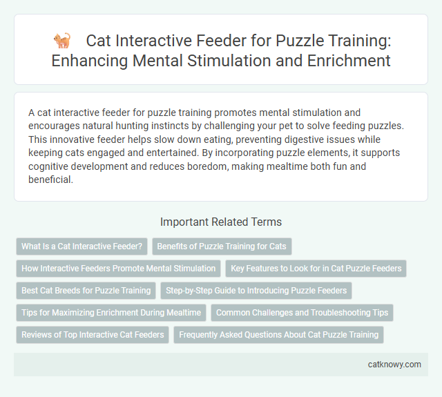 Cat Interactive Feeder for Puzzle Training: Enhancing Mental Stimulation and Enrichment