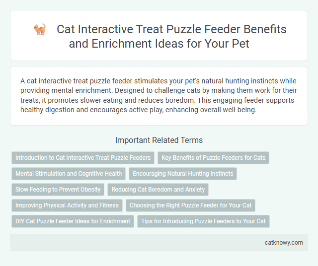 Cat Interactive Treat Puzzle Feeder Benefits and Enrichment Ideas for Your Pet