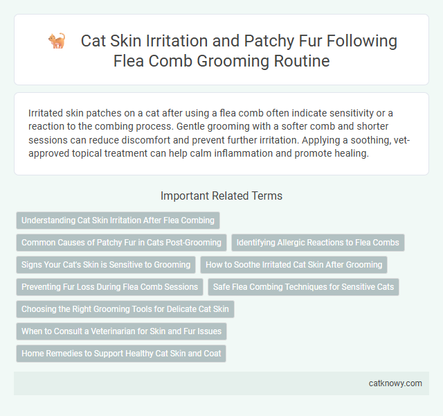 Cat Skin Irritation and Patchy Fur Following Flea Comb Grooming Routine