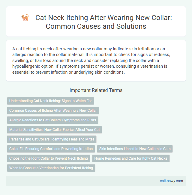 Cat Neck Itching After Wearing New Collar: Common Causes and Solutions