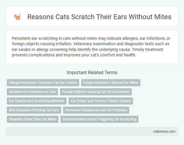 Reasons Cats Scratch Their Ears Without Mites