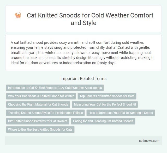 Cat Knitted Snoods for Cold Weather Comfort and Style
