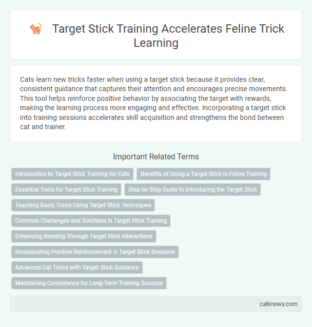 Target Stick Training Accelerates Feline Trick Learning