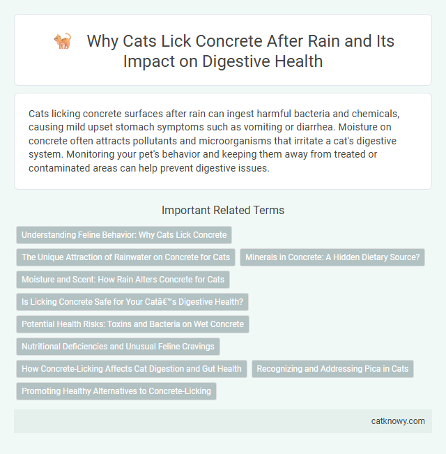 Why Cats Lick Concrete After Rain and Its Impact on Digestive Health