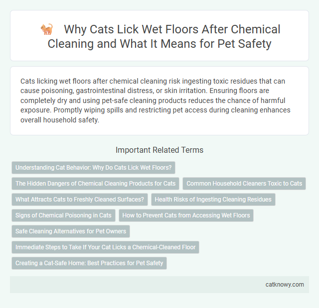 Why Cats Lick Wet Floors After Chemical Cleaning and What It Means for Pet Safety