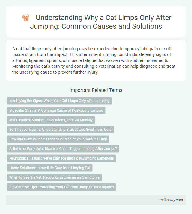 Understanding Why a Cat Limps Only After Jumping: Common Causes and Solutions