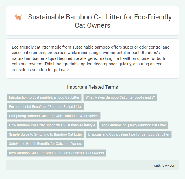 Sustainable Bamboo Cat Litter for Eco-Friendly Cat Owners
