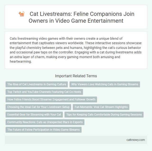 Cat Livestreams: Feline Companions Join Owners in Video Game Entertainment