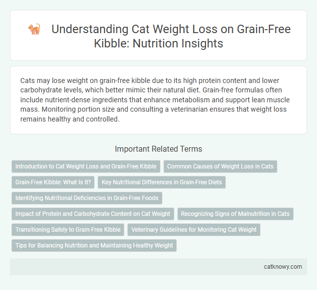 Understanding Cat Weight Loss on Grain-Free Kibble: Nutrition Insights