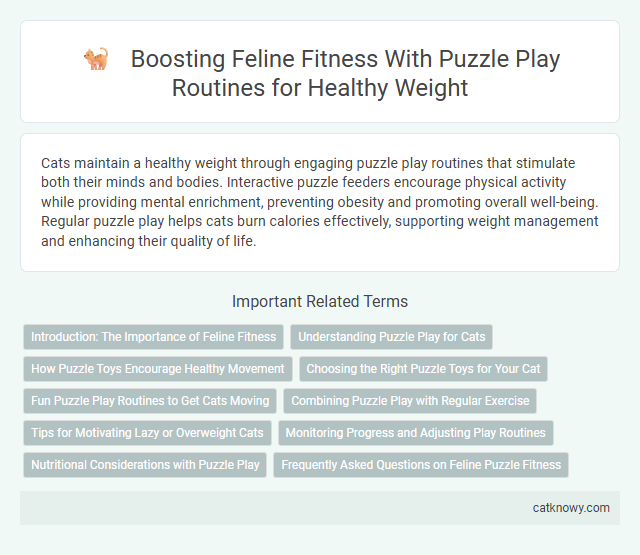 Boosting Feline Fitness With Puzzle Play Routines for Healthy Weight