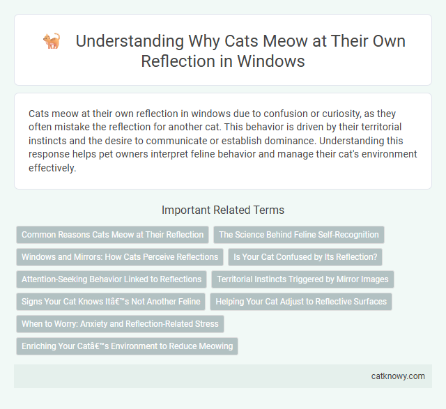 Understanding Why Cats Meow at Their Own Reflection in Windows