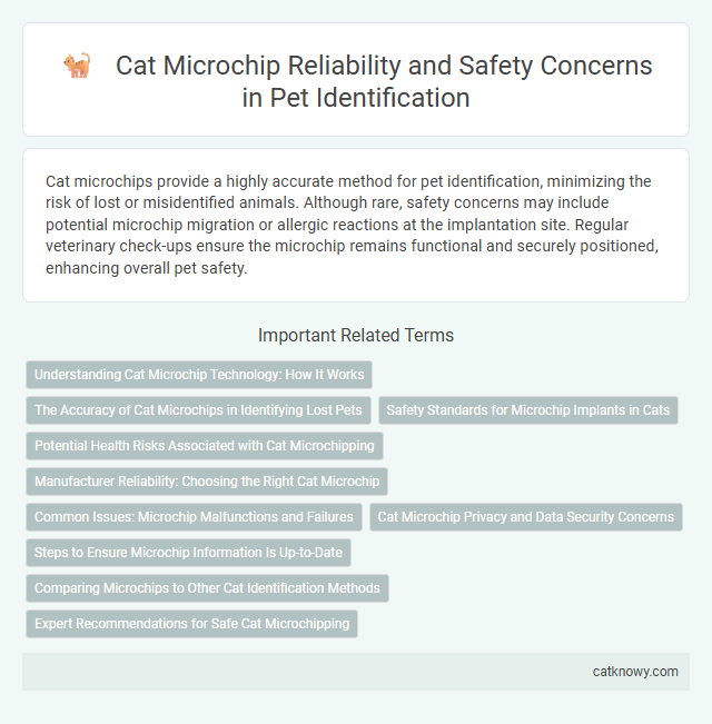 Cat Microchip Reliability and Safety Concerns in Pet Identification
