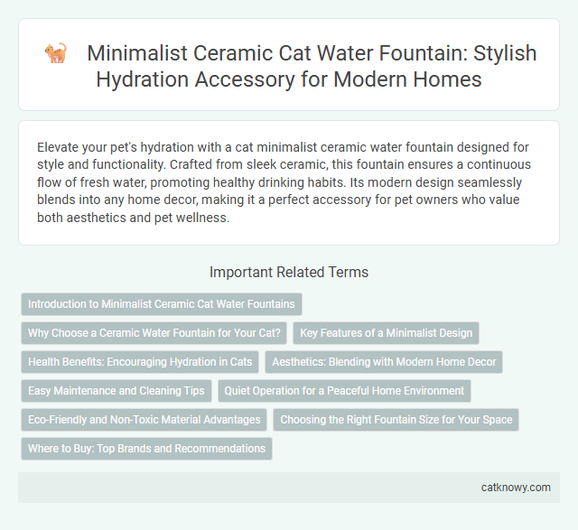 Minimalist Ceramic Cat Water Fountain: Stylish Hydration Accessory for Modern Homes