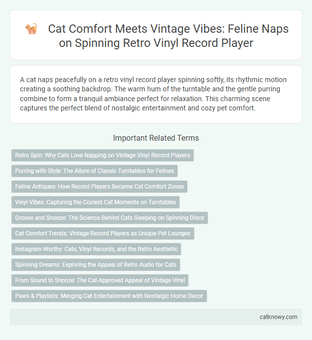 Cat Comfort Meets Vintage Vibes: Feline Naps on Spinning Retro Vinyl Record Player