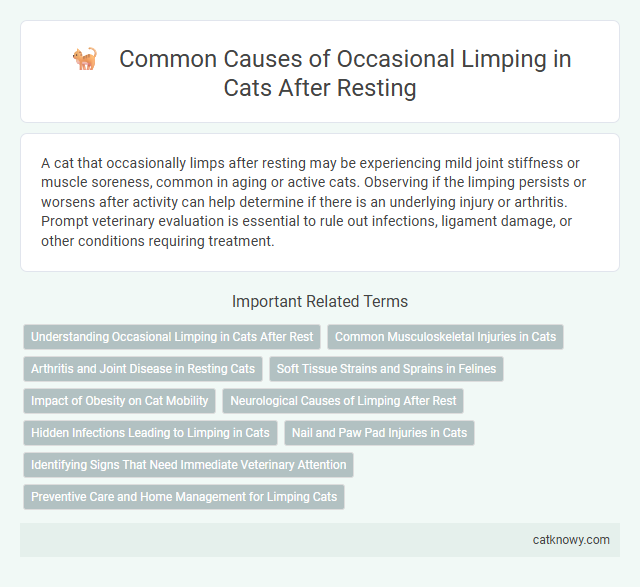 Common Causes of Occasional Limping in Cats After Resting