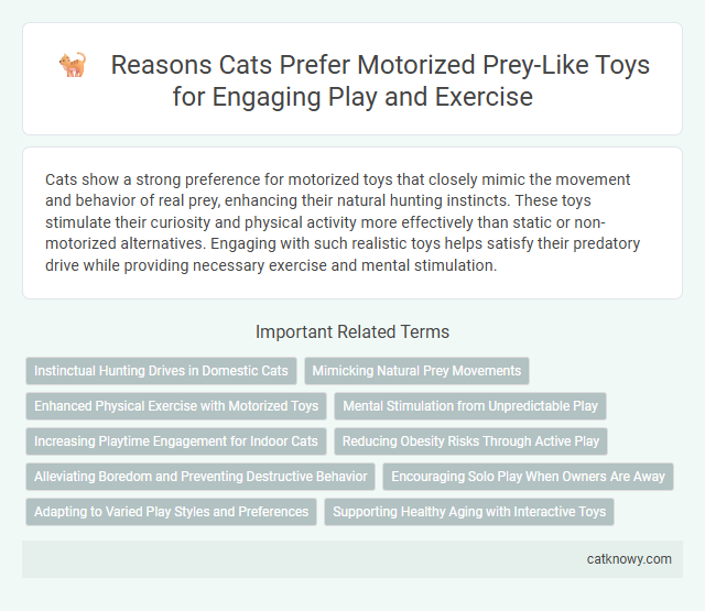 Reasons Cats Prefer Motorized Prey-Like Toys for Engaging Play and Exercise